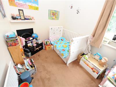 Picture 10